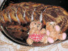 Babka Zeberka