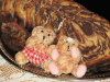 Babka Zeberka