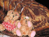 Babka Zeberka