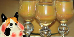 Mleko w�ciek�ej krowy 