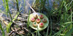 Muffiiny �mietankowe 