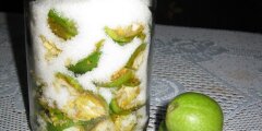 Syrop z orzecha w�oskiego