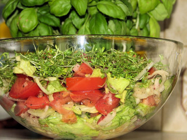 Zdjęcie potrawy Kolorowa surówka z zielonej sałaty i rzeżuchy