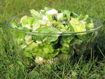 Zdjęcie potrawy Zielona sałata w towarzystwie sera Feta i papryki stożkowej