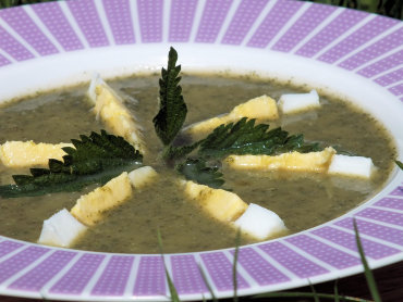 Zdjęcie potrawy Zupa krem z pokrzyw