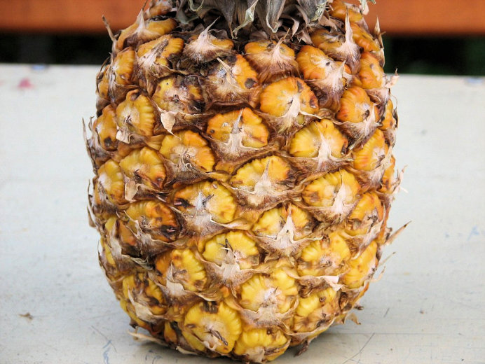 Grillowany ananas - zdjęcie 2