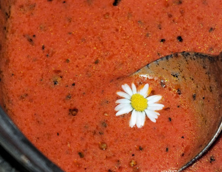 Błyskawiczny sos pomidorowy
