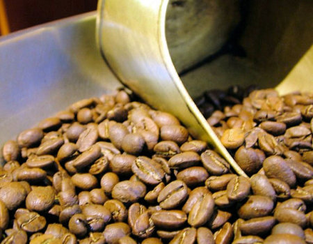 Jak przyrządzić filiżankę wyśmienitej kawy?