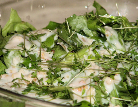 Zielona sałata w maślankowym sosie - surówka dla diabetyków