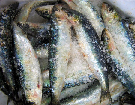 Aby rozmrażana ryba nie straciła cennych składników odżywczych...