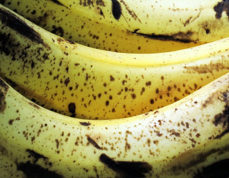 Co zrobić z dojrzałymi bananami?