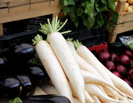 Jak długo można przechowywać zamrożone warzywa?