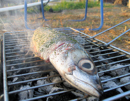 Jak sprawdzić czy grillowana rybka jest już miękka?