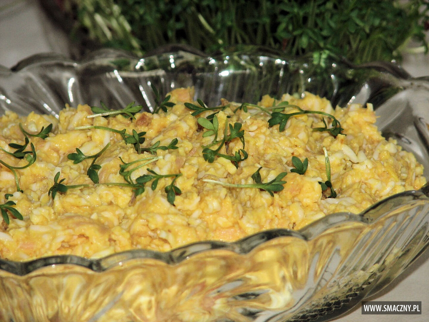 Dietetyczna pasta z łososiowych brzuszków na Wielkanoc Przepisy ku