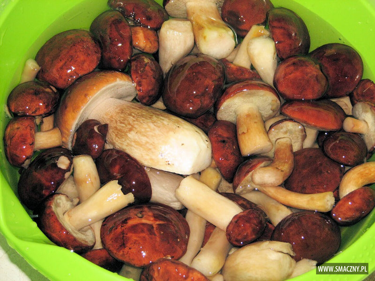 Grzyby marynowane Przepisy kulinarne Przetwory