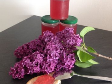 Zdjęcie potrawy Galaretka z kwiatów 