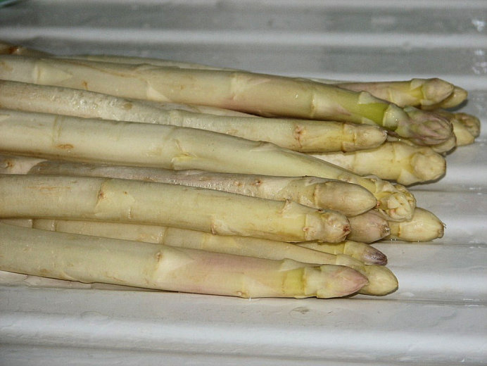 Białe szparagi zapiekane w serowym sosie - zdjęcie 3