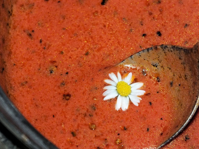 Błyskawiczny sos pomidorowy