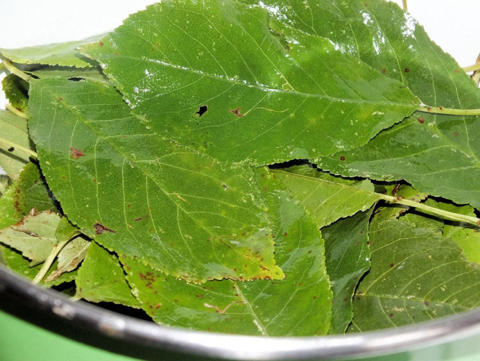 Sok z aronii z wiśniową nutką - zdjęcie 2