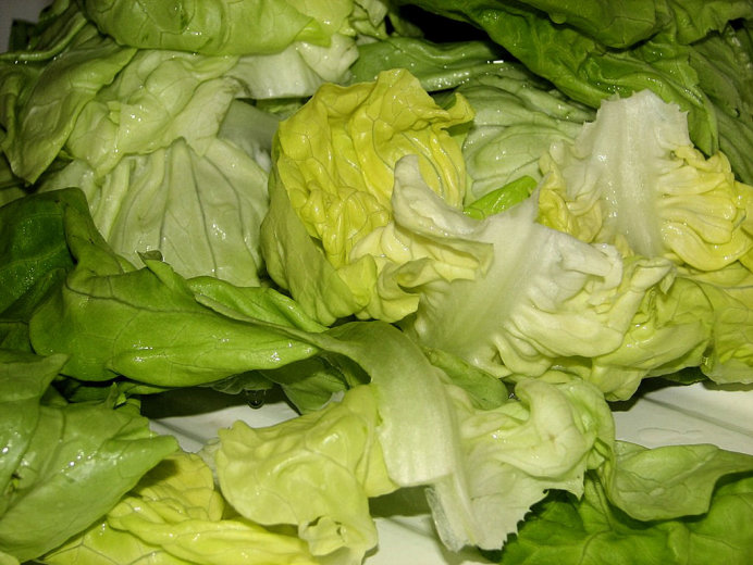 Zielona sałata w cebulowo-porowym sosie - zdjęcie 3