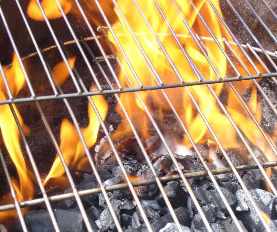 ABC zdrowego i smacznego grillowania