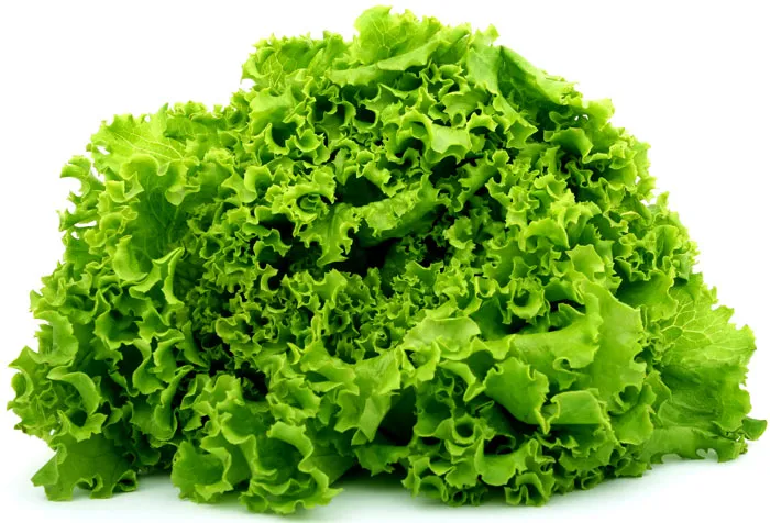 Dieta kopenhaska