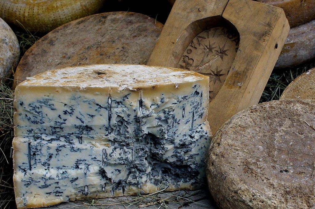 gorgonzola