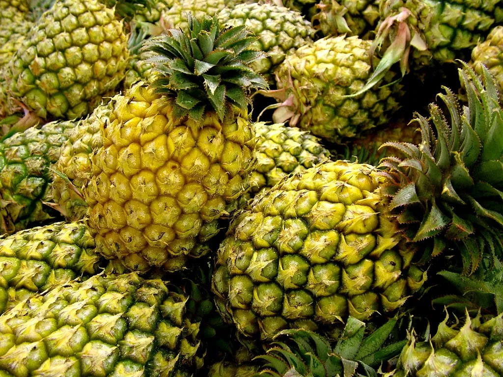 Kiedy ananas jest dojrzały?