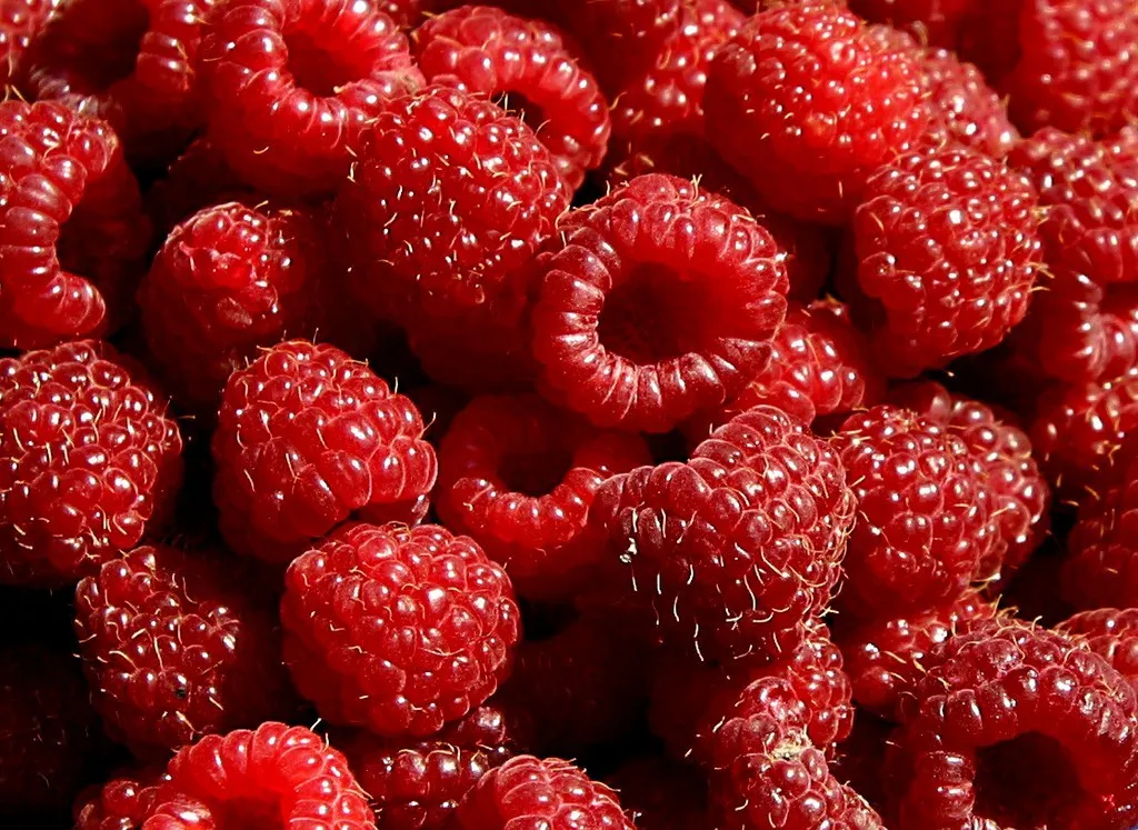 Maliny - naturalne lekarstwo na przeziębienie