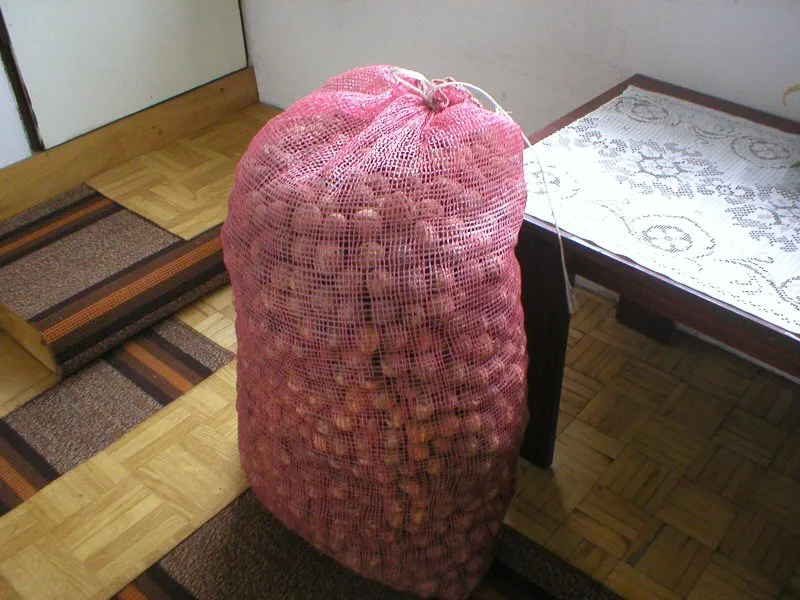 Orzechy - skarby pod skorupą