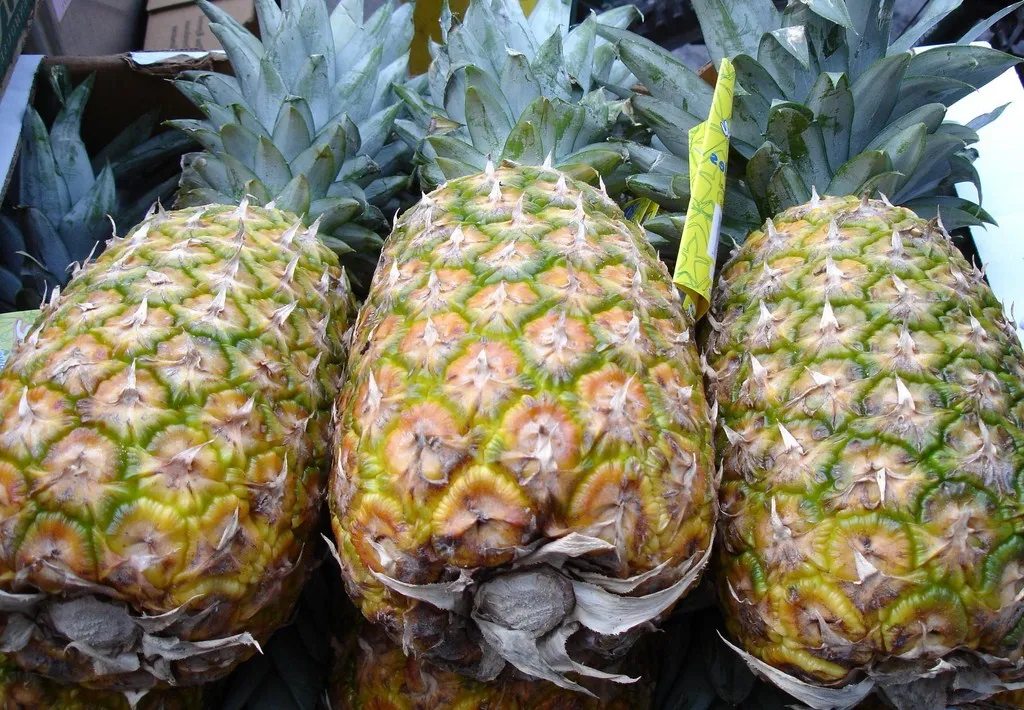 Pomocnicy w odchudzaniu
