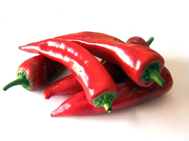 tabasco