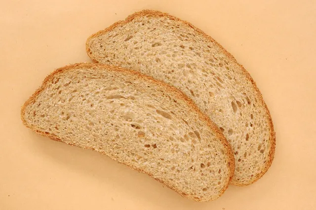 wodzionka