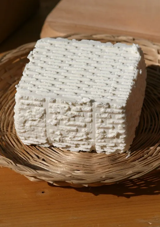 żentyca
