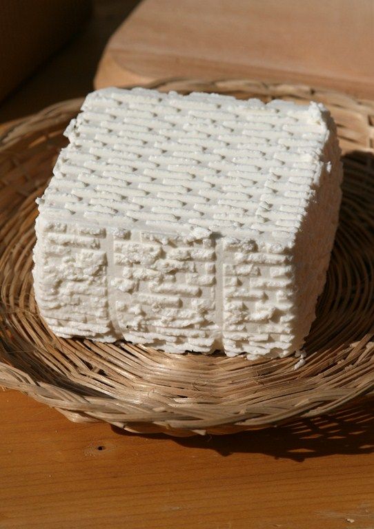 żentyca