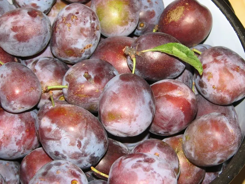 Powidła śliwkowe