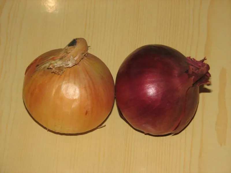 Karczek w piwie