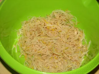 Sałatka z kiełków soi i tuńczyka - 5