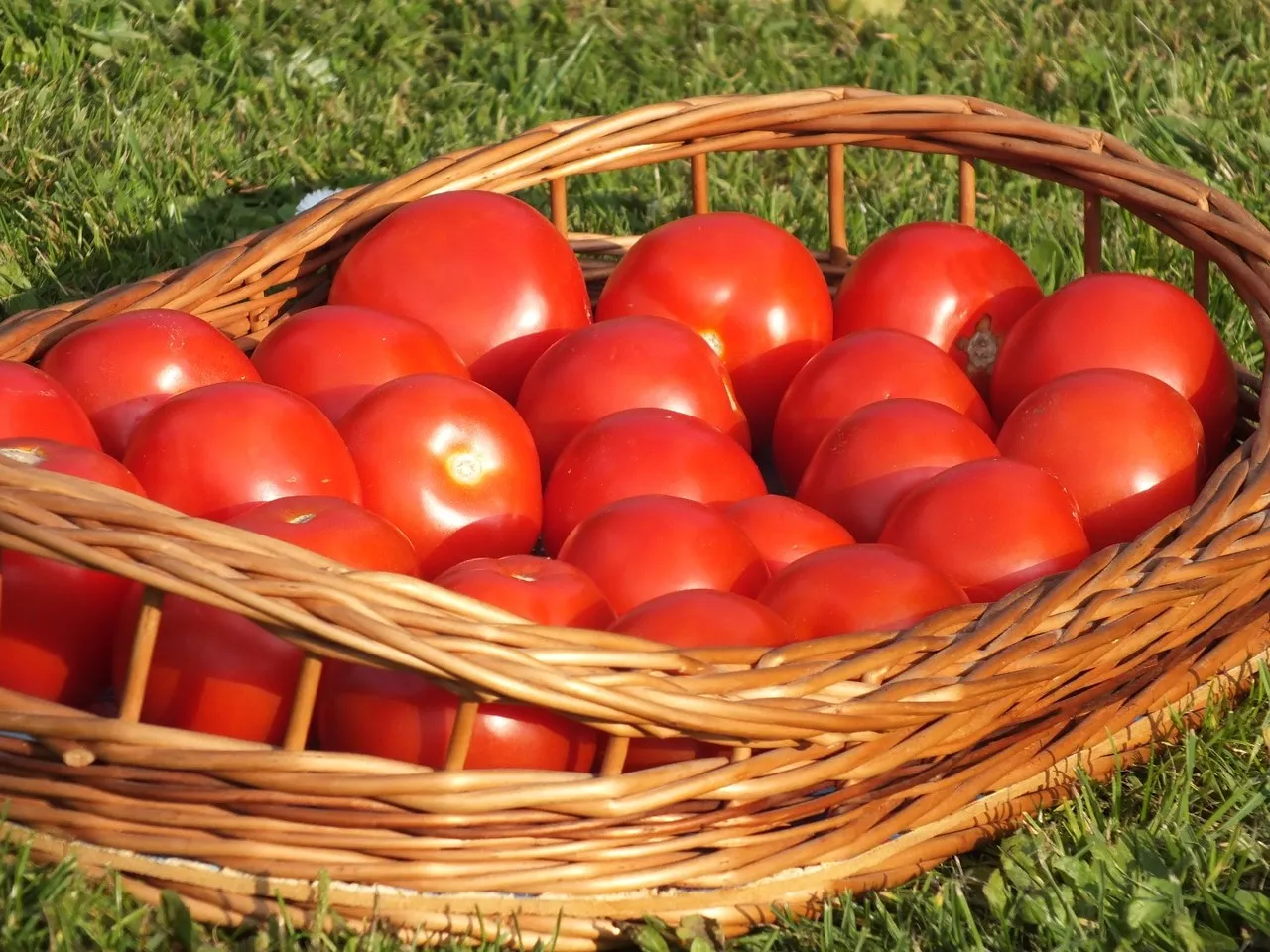 Ketchup