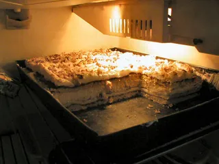 Pychotka - 2