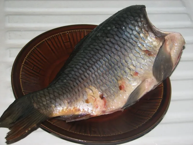 Karp wigilijny