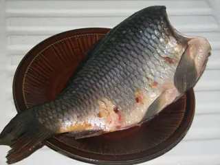 Karp wigilijny - 4
