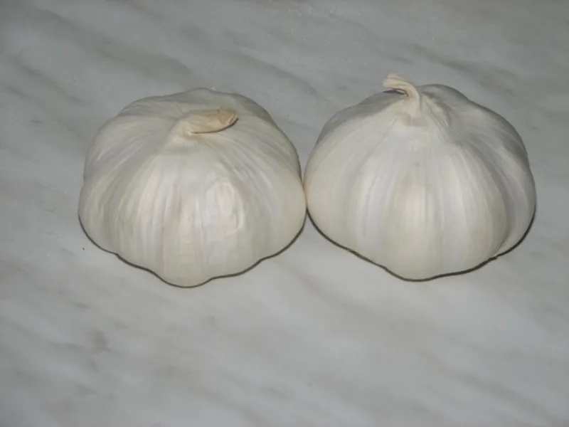 Grillowany czosnek