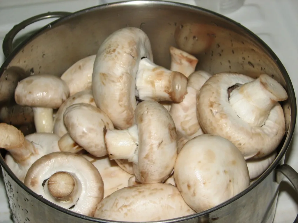 Grzyby w zalewie