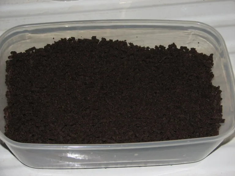 Cygańska droga