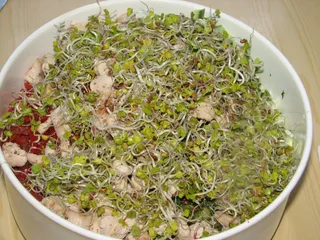 Sałatka z kiełkami rzodkiewki - 8