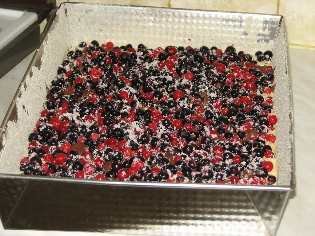 Ciasto z czerwonymi i czarnymi porzeczkami