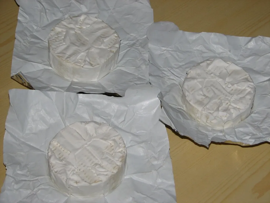 Czosnkowy camembert z grilla