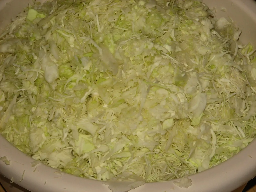 Kapusta kiszona