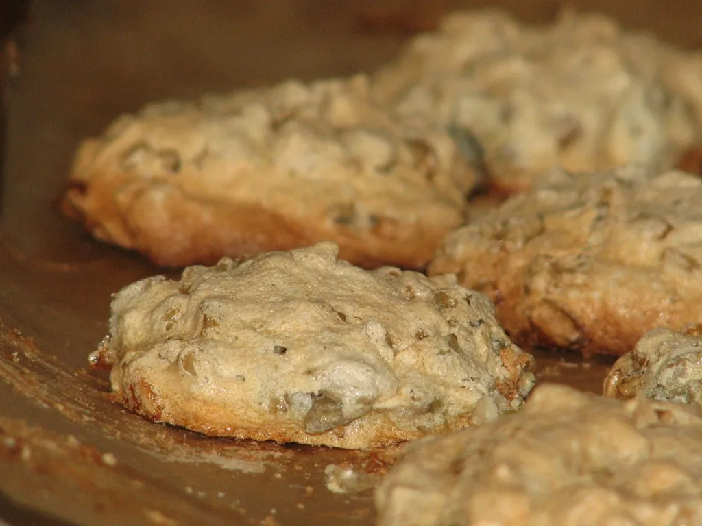 Makaroniki słonecznikowe